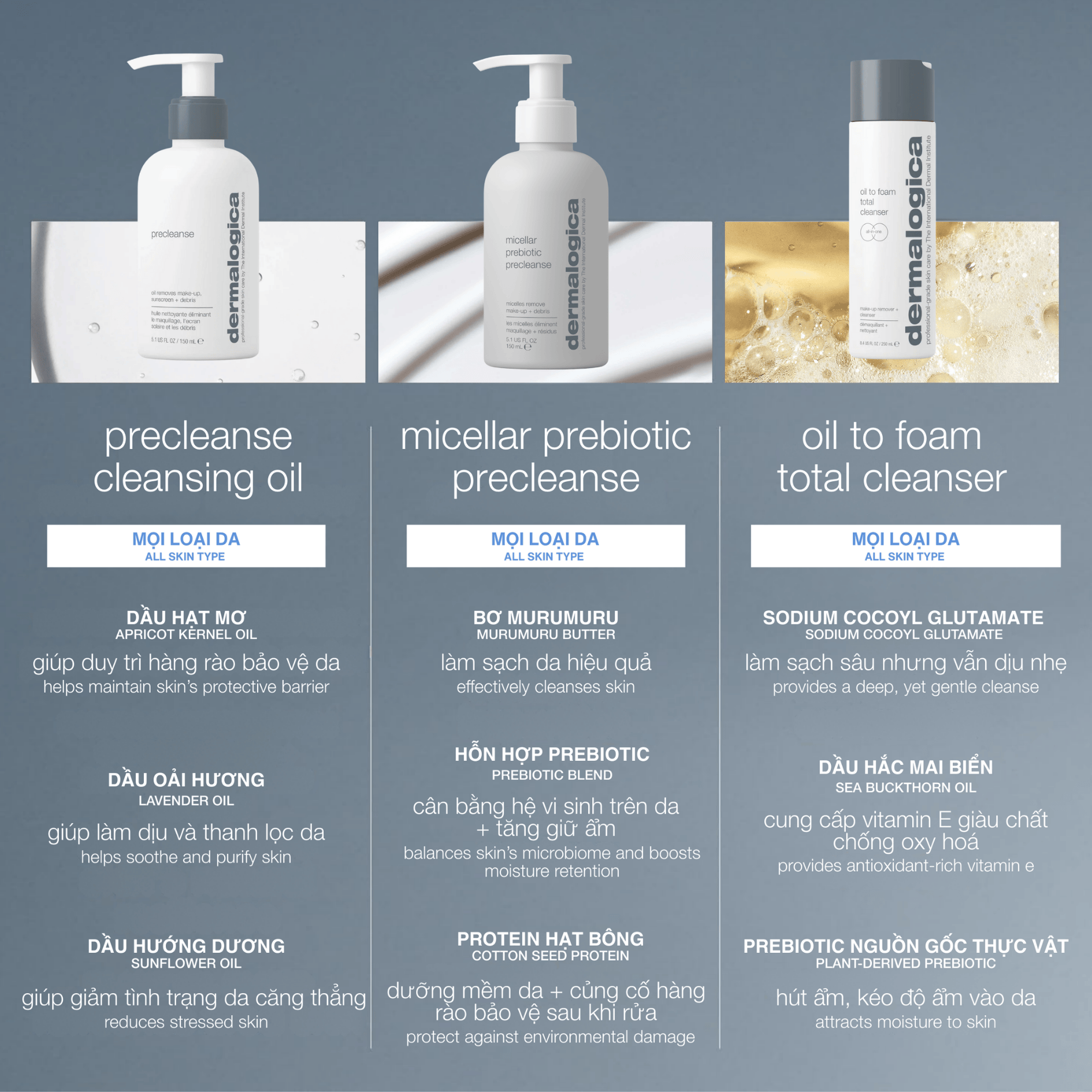 Dermalogica Vietnam dầu tẩy trang precleanse