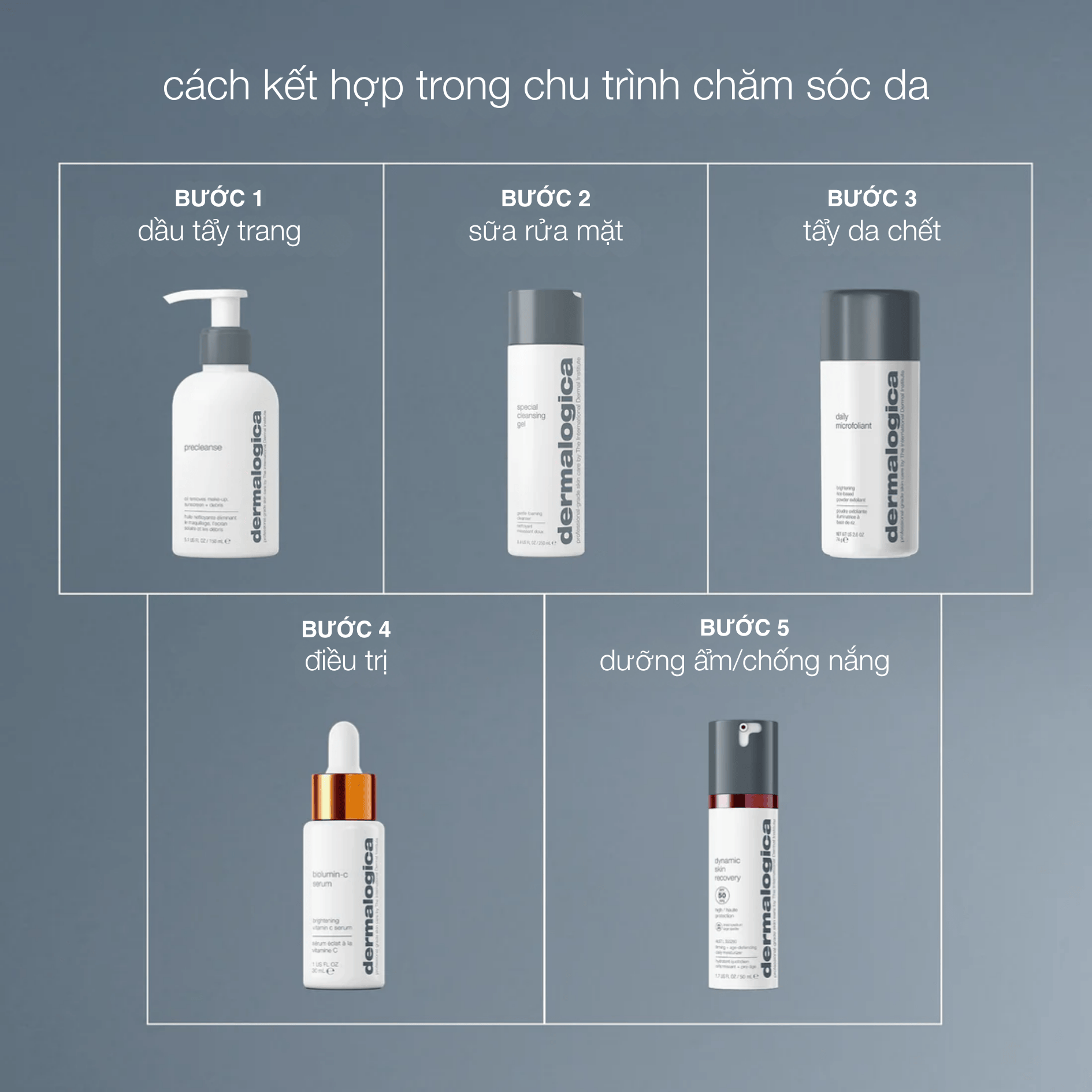 Dermalogica Vietnam dầu tẩy trang precleanse