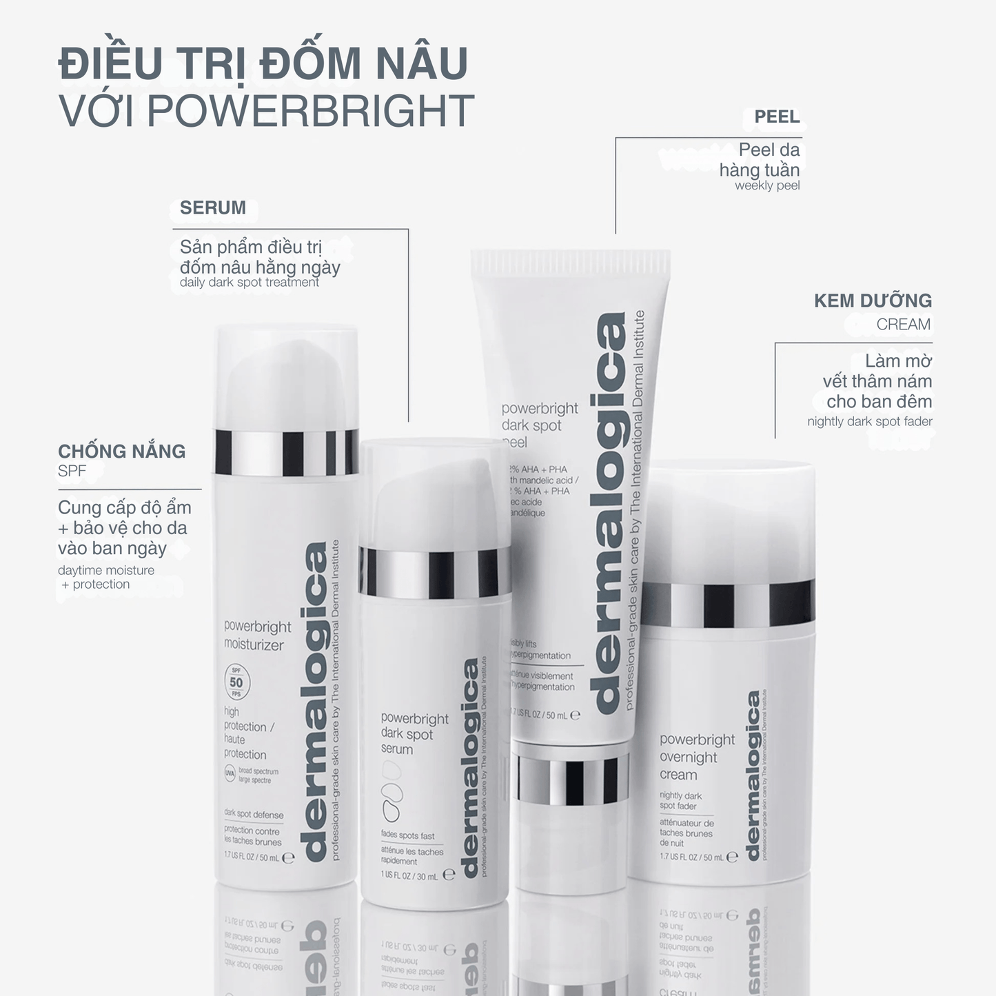 Dermalogica Vietnam tinh chất mờ nám powerbright dark spot serum