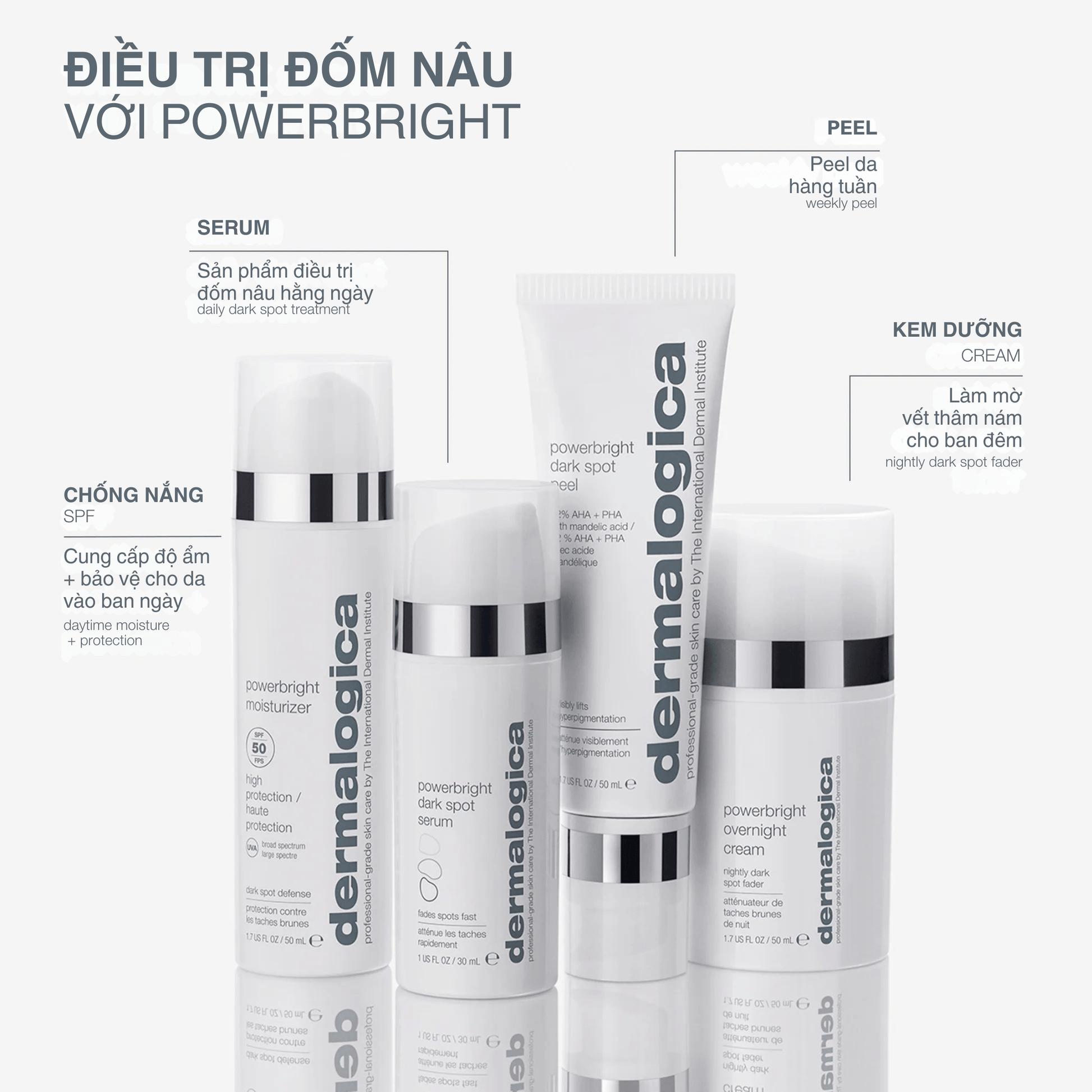 Dermalogica Vietnam tinh chất mờ nám powerbright dark spot serum