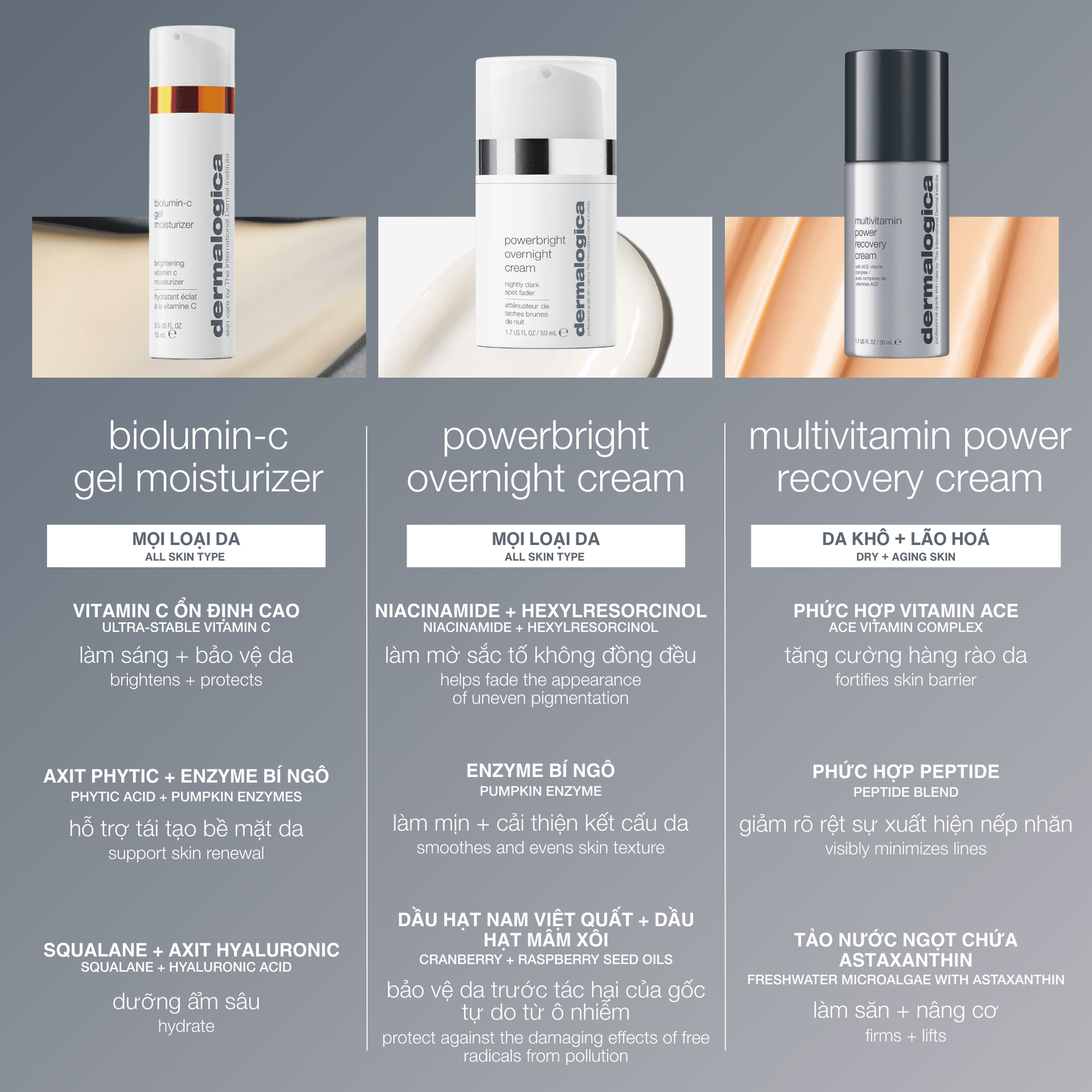 Dermalogica VN MOISTURIZERS 50ml kem dưỡng ban đêm mờ đốm nâu powerbright overnight cream