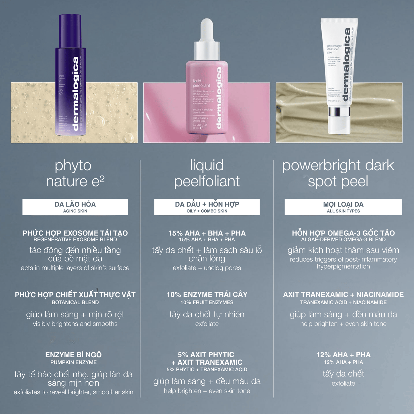 EXFOLIANTS EXFOLIANTS 100ml tái tạo da chứa exosome phyto nature e2