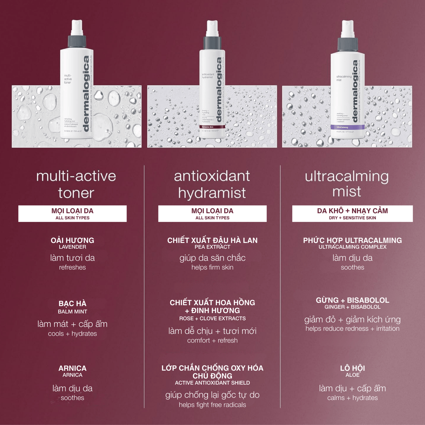 TONERS TONERS xịt khoáng chống lão hoá antioxidant hydramist