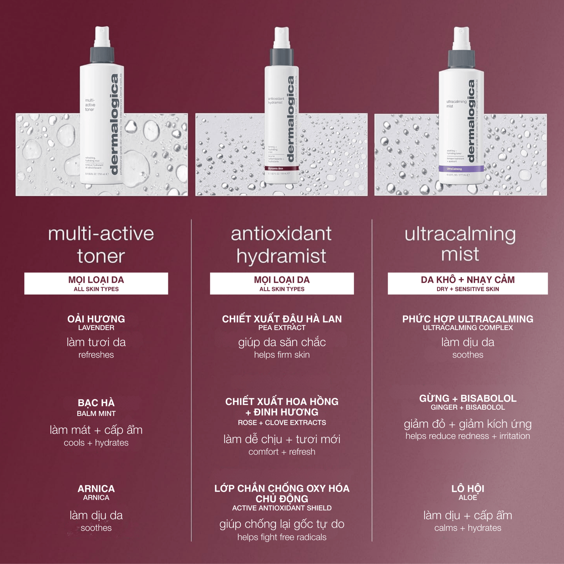 TONERS TONERS xịt khoáng chống lão hoá antioxidant hydramist